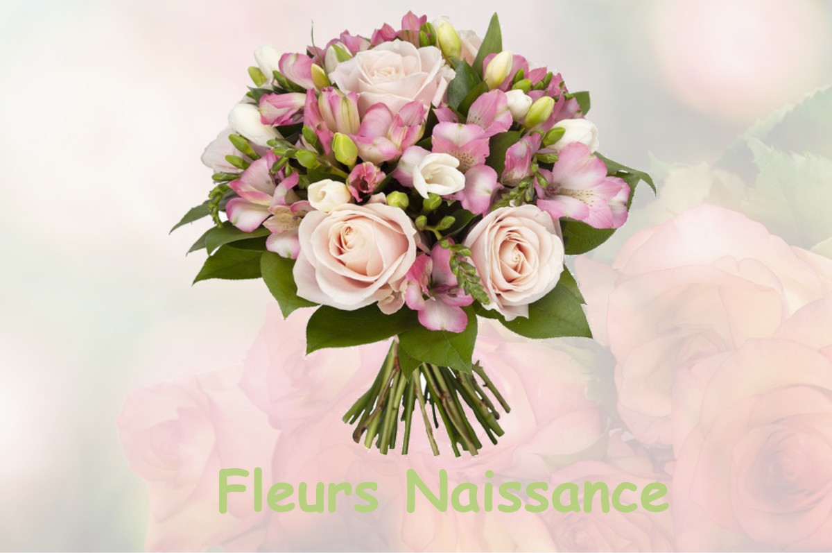 fleurs naissance HIERES-SUR-AMBY