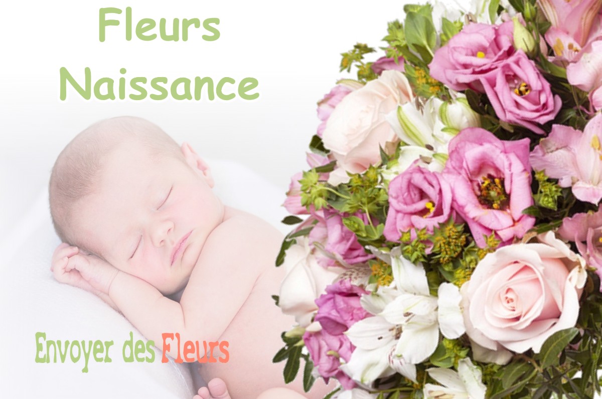 lIVRAISON FLEURS NAISSANCE à HIERES-SUR-AMBY